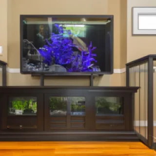 create a stunning big rectangle fish tank sitting on a large stand in a modern middle class family room